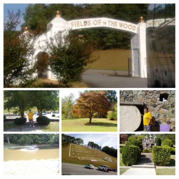 20191011_185935-COLLAGE