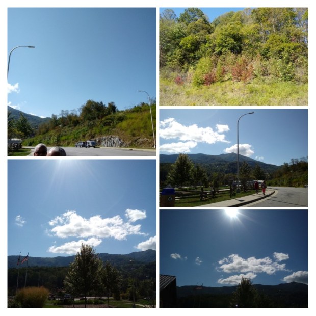 20191012_130342-COLLAGE